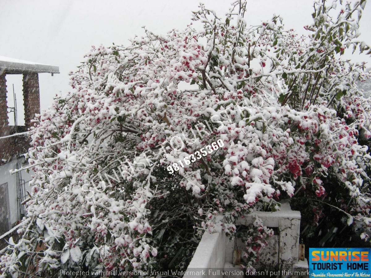Sunrise Tourist Home Dharamshala Exterior foto
